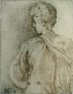 Parmigianino - Young man seen from behind, face in profile