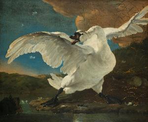 Jan Asselijn - The Threatened Swan