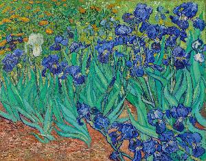 Vincent Van Gogh - Irises\n\n(Front)