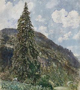 Rudolf Von Alt - The old Spruce in Bad Gastein