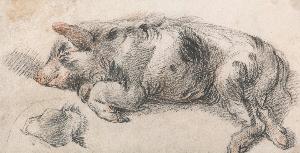 James Ward - Sleeping Pig