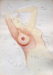 Krupa - The portrait of the breast or the work in progress