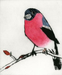 Richard Spare - Spring Bullfinch