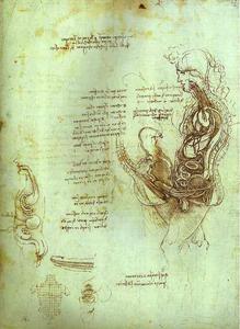 Leonardo Da Vinci - Coition of Hemisected Man and Woman