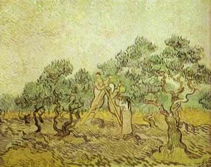 Vincent Van Gogh - The Olive Orchard