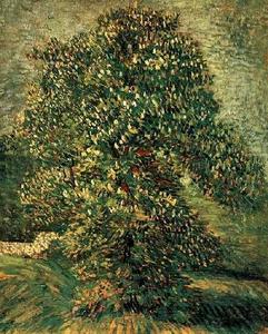 Vincent Van Gogh - Chestnut Tree in Blossom 3