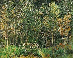 Vincent Van Gogh - Grove, The