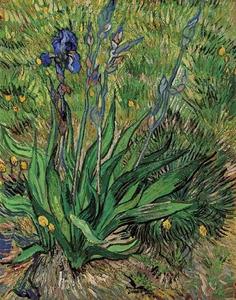 Vincent Van Gogh - Iris, The