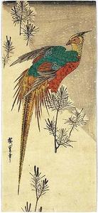 Ando Hiroshige - Pheasant among Young Pine on a Hill in Snow