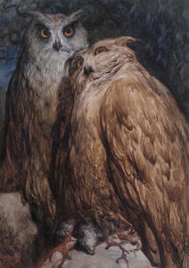 Paul Gustave Doré - Two Owls