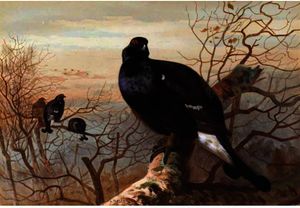 Archibald Thorburn - He Evening Roost, Black Game