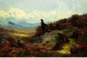 Archibald Thorburn - Red Grouse In A Landscape