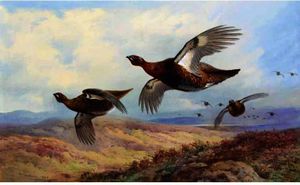Archibald Thorburn - Red Grouse In Flight