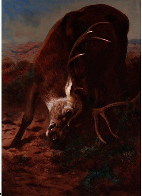  Art Reproductions Red Stag Fraying by Archibald Thorburn (1860-1935, United Kingdom) | ArtsDot.com