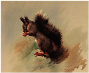 Archibald Thorburn - The Red Squirrel