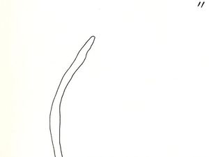 Joan Miro - Apunts per al llibre Lapidari 11