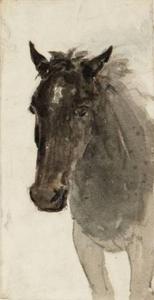 David Cox - Head And Shoulders Of A Horse