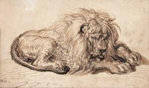 James Ward - A lion at rest