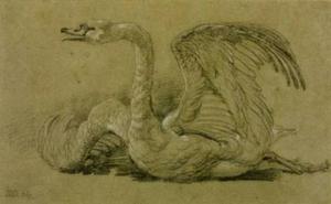 James Ward - Dying Swan
