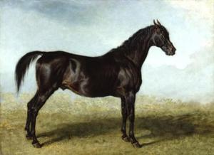 James Ward - Guy Mannering. A Race Horse