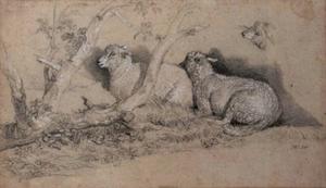 James Ward - Sheep resting in a wooded copse and a further study of a sheep-s head