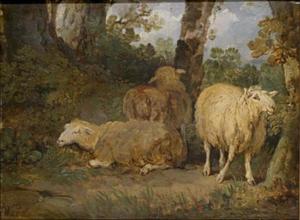 James Ward - Sheep