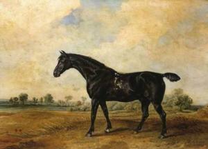 James Ward - The Black Horse