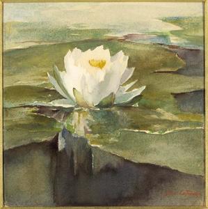 John La Farge - Water Lily in Sunlight