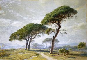 William Stanley Haseltine - View of Cannes with Parasol Pines