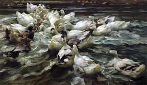 Alexander Max Koeste - Ducks in a Pond