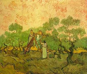 Vincent Van Gogh - Olive Picking