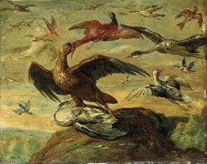 Jan Van Kessel - Birds