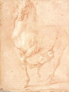 Pierre Puget - Study of a Horse