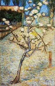 Vincent Van Gogh - Pear Tree in Blossom