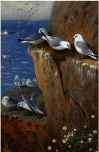 Archibald Thorburn - Seagulls