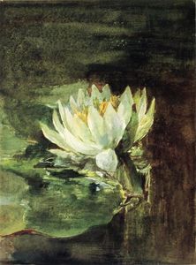 John La Farge - Single Water-Lily in Sunlight