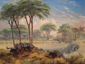 Thomas Baines - Herd Of Buffalo Chased Across The Macloutsie River