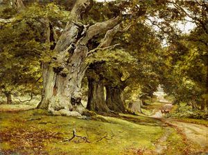 Edward Wilkins Waite - The Oak's Massive Trunk