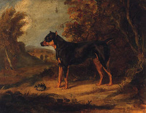 Ramsay Richard Reinagle - A Black And Tan Terrier