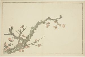 Katsushika Hokusai - Blooming Plum Tree