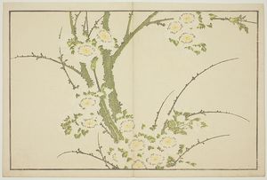 Katsushika Hokusai - Flowers, From The Picture Book Of Realistic Paintings Of Hokusai