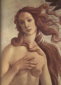 Sandro Botticelli - venus
