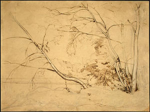 Jean Baptiste Camille Corot - Clump of Trees at Civita Castellana
