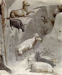 Giotto Di Bondone - joachim's dream (detail)