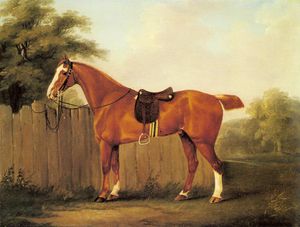John Nost Sartorius - A chestnut hunter tethered to a fence
