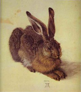 Albrecht Durer - A young hare