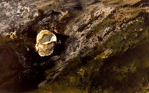 Andrew Wyeth - Untitled (141)