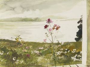 Andrew Wyeth - Cosmos