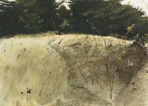 Andrew Wyeth - Fall grasses