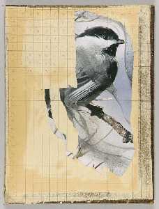 Joseph Cornell - Mathematics and Music (chickadee on tree branch)